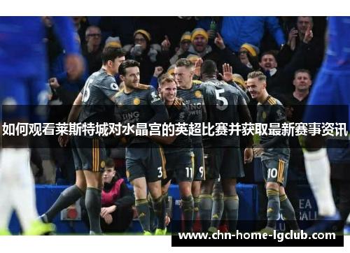 如何观看莱斯特城对水晶宫的英超比赛并获取最新赛事资讯 如何观看莱斯特城对水晶宫的英超比赛并获取最新赛事资讯