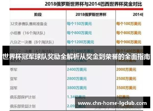世界杯冠军球队奖励全解析从奖金到荣誉的全面指南