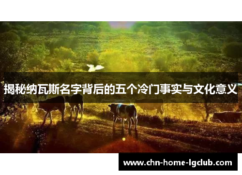 揭秘纳瓦斯名字背后的五个冷门事实与文化意义